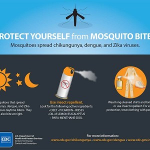 05112016_CDCmosquitoes.width-800