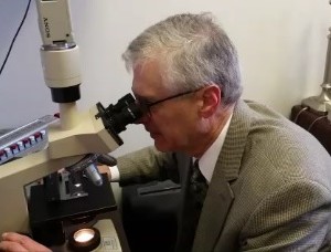 Dr. Dvorin Interpreting the Pollen Counts at His Microscope