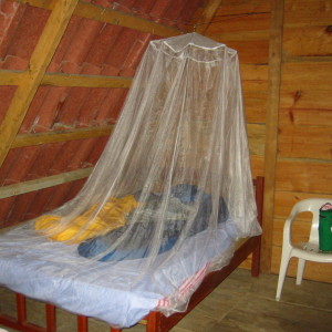 Mosquito_Netting