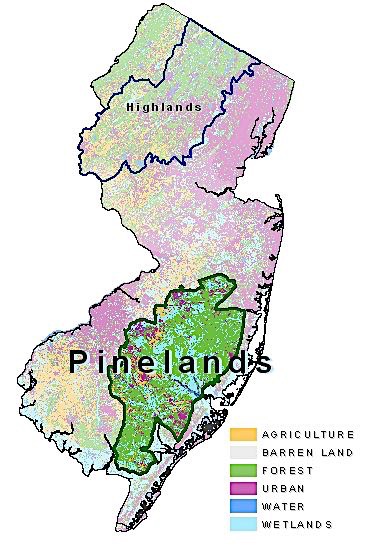 Pinelands-highlight easy