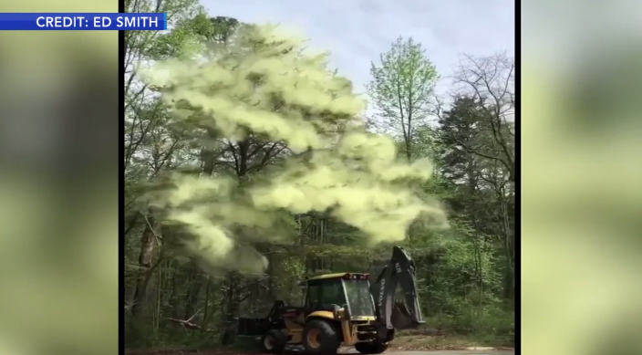 6ABC Reports on Extreme Pollen